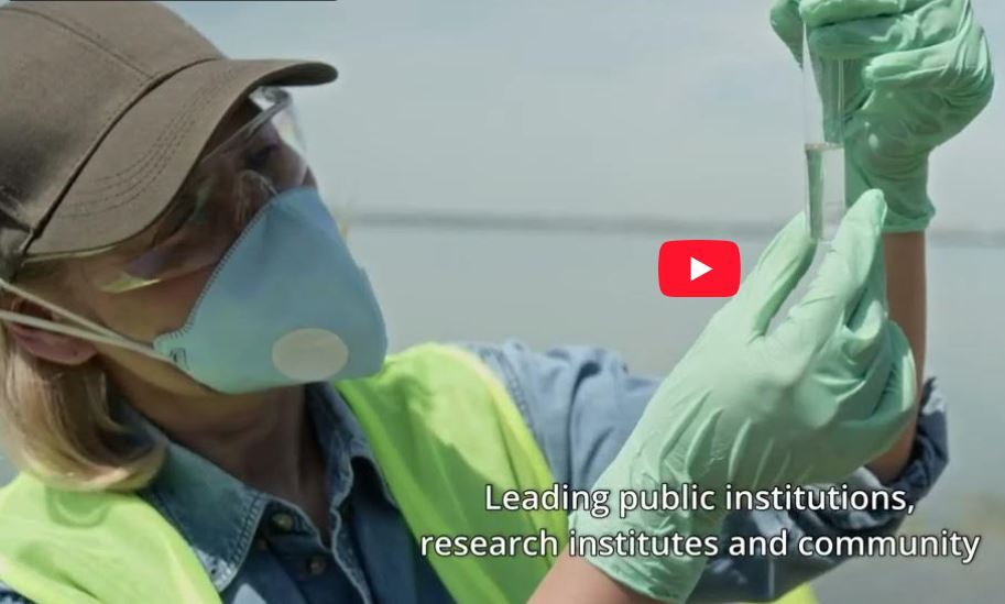 BLUEQ of ΙΤΕ/ΙΓ