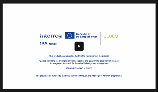 VideoBlueQ_20260526